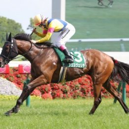 【府中牝馬Ｓ】リニューアルした牝馬重賞は混戦模様