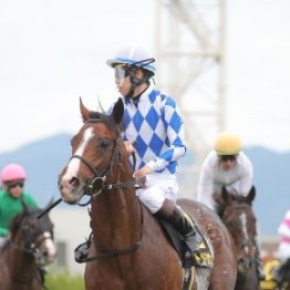 【しらさぎＳ】新設重賞に２冠牝馬チェルヴィニアが登場