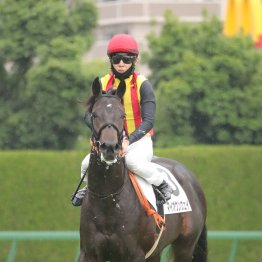ゴルシ産駒が初出走で宝塚記念親子制覇を達成。洋芝函館ではスピード型のミスプロ系が躍動