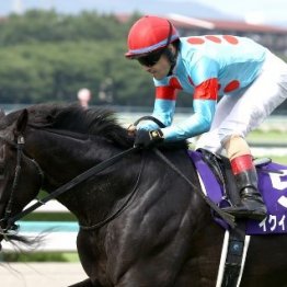 イクイノックスが選定初年度で顕彰馬に選出　ライバルたちが語った強さの秘密①（ネットオリジナル）