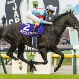 イクイノックスが選定初年度で顕彰馬に選出　ライバルたちが語った強さの秘密①（ネットオリジナル）