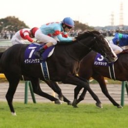 イクイノックスが選定初年度で顕彰馬に選出　ライバルたちが語った強さの秘密①（ネットオリジナル）