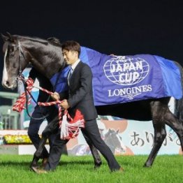イクイノックスが選定初年度で顕彰馬に選出　ライバルたちが語った強さの秘密②（ネットオリジナル）