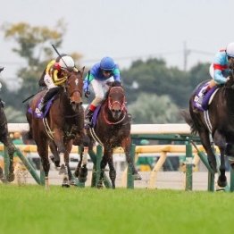 イクイノックスが選定初年度で顕彰馬に選出　ライバルたちが語った強さの秘密②（ネットオリジナル）