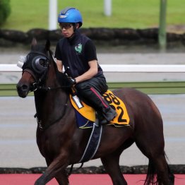 【府中牝馬Ｓ】タガノエルピーダ初重賞Ｖだ