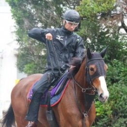 【しらさぎＳ】チェルヴィニア主役は譲らない