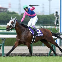 レジェンドが見せたシン・メイショウタバル