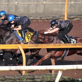【府中牝馬Ｓ】タガノエスピーダ自然とピッチを上げて１Ｆ１１秒０