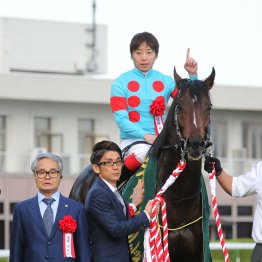 【２０２５年にデビューする新種牡馬紹介】⑤インディチャンプ　ステイ系では珍しいマイラータイプ