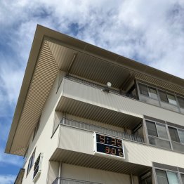 栗東トレセンは９時半で３０℃超え！ 急激な猛暑からサラブレッドを守る厩舎の工夫