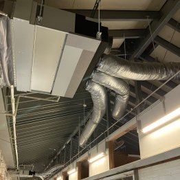 栗東トレセンは９時半で３０℃超え！ 急激な猛暑からサラブレッドを守る厩舎の工夫