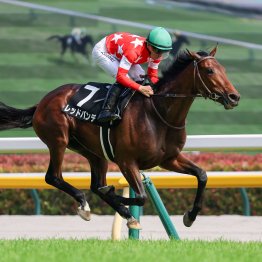 今年も１、２勝クラスでは３歳馬の天下