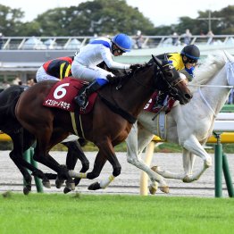【府中牝馬Ｓ】データ作戦　４枠が７年連続で圏内入り