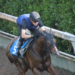 【しらさぎＳ】良血馬シヴァース軌道に乗った