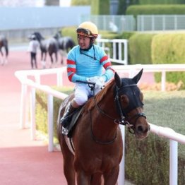 【市川の土曜競馬コラム・天保山Ｓ】