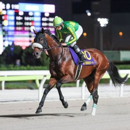 【新居の土曜競馬コラム・スレイプニルＳ】