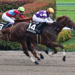 【橘の土曜競馬コラム・天保山Ｓ】