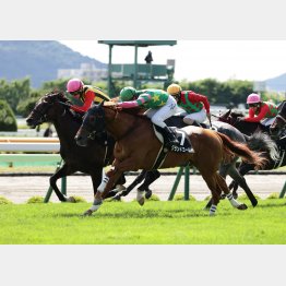 コース相性も良く勝機到来(左端、ピンク帽)