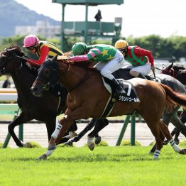 【亀井の土曜競馬コラム・ＳＴＶ杯】
