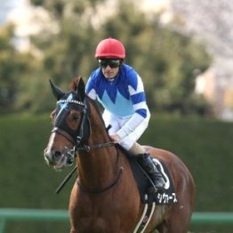 【武田の日曜競馬コラム・２重賞】