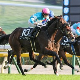 【橘の日曜競馬コラム・府中牝馬Ｓ】