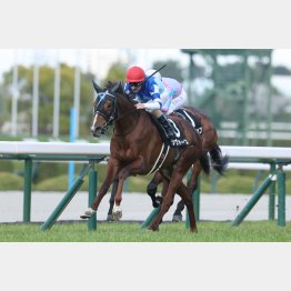 夢洲Sは上がり3F33秒4