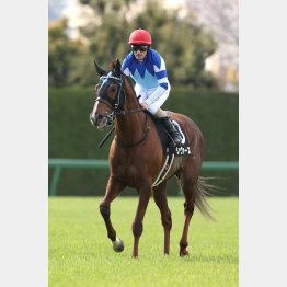マイル適性で実績馬を上回る