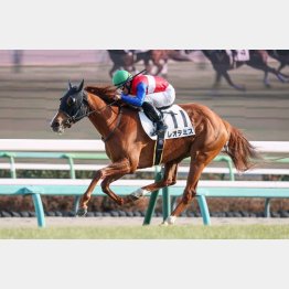 昇級3戦目で結果を出す