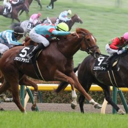 【東京本紙・外山の日曜東京10Ｒ】