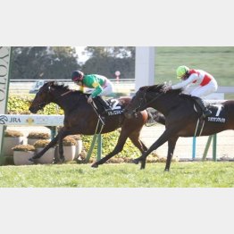 ２走前の３勝クラスではあっさり