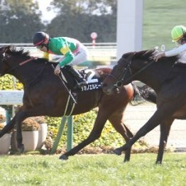 【東京本紙・外山の府中牝馬Ｓ】