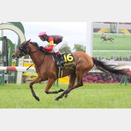 前走は②着馬に3馬身半差