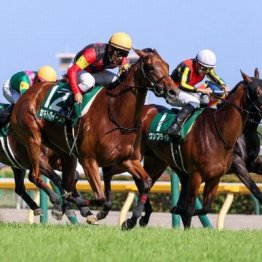 【府中牝馬Ｓ】セキトバイーストが２連勝で重賞初Ｖ