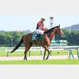①着セキトバイースト(浜中騎手)「ここからさらに弾みをつけてくれると思いますし、今後が楽しみです」