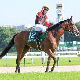 【府中牝馬Ｓ】レース後の談話（ネットオリジナルを含む）