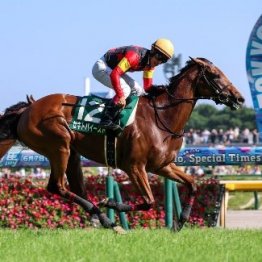 【府中牝馬Ｓ】セキトバイースト正攻法で重賞初制覇