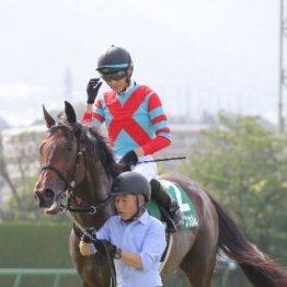 【しらさぎＳ】レース後の談話