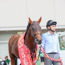 【ラジオＮＩＫＫＥＩ賞】秋の飛躍を目指す３歳馬同士のハンデ重賞