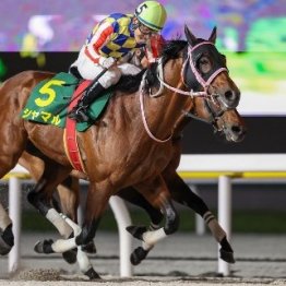 【さきたま杯】７歳で充実一途シャマル連勝機