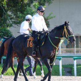 【ラジオＮＩＫＫＥＩ賞】フクノブルーレイク反撃態勢