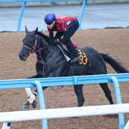 【ラジオＮＩＫＫＥＩ賞】ショウナンマクベス１Ｆ１１秒１で好気配