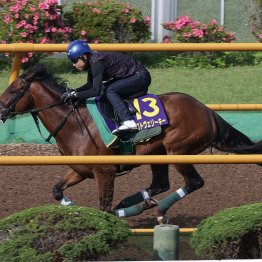 【函館記念】マコトヴェリーキー２馬身遅れでも時計優秀、馬体充実