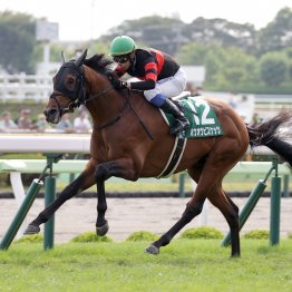 【函館記念】数々の日程変更の影響で今年から巴賞が〝逆・中１週〟で敗者復活戦に