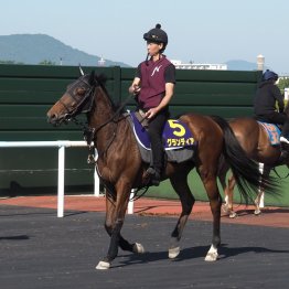 【函館記念】昨年の②着馬グランディア陣営が調整にひと工夫