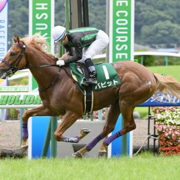 【ラジオＮＩＫＫＥＩ賞】データ作戦　逃げ馬が10年間で６頭も馬券圏内に