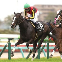 【大谷の土曜競馬コラム・バーデンバーデンＣ】
