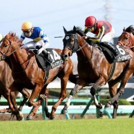 【武田の土曜競馬コラム・バーデンバーデンＣ】