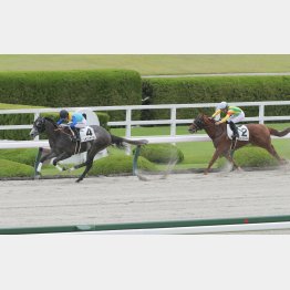 7カ月半ぶりの前走は②着を死守(右端)