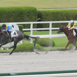 【播磨の土曜競馬コラム・小倉６Ｒ・３歳未勝利】