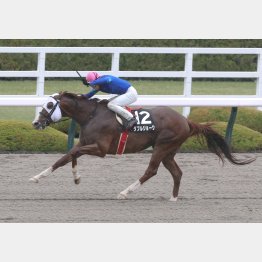 パワー向きの馬場が合う